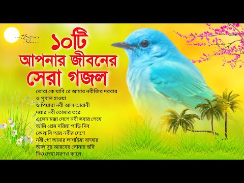 ১০টি আপনার জীবনের সেরা গজল | Your Favourite Top 10 Islamic Gojol | বাংলা গজল | Bangla Gojol | গজল