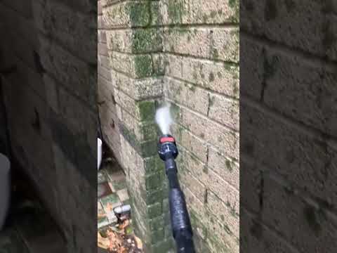 青苔不見了#gaeden#cleaning#cleaningtips#garden wall cleaning