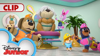 Luna's Hair Gets a Snip Snip Snip 🎶 | Pupstruction | @disneyjr