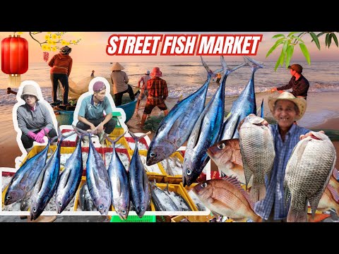 Wow Amazing!! Special Village Most Satisfying Super Streets Fish markets - Con Cha Market (Vietnam)