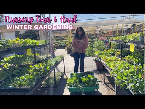 Green Thumb Nursery Tour and Plant Haul 🌱 | Living in Los Angeles 🌸 #gardening