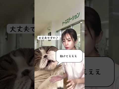 患者が転倒したときに看護師が考えること！ #看護師あるある #看護師 #猫ミーム