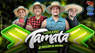 SET AO VIVO LUXUOSO TAMATA NA CIDADE DE SANTO ANTONIO DO TAUA 28-07-2024 DJ VALDO ALVES