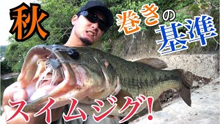 【バス釣り】秋の巻物の基準❗️スイムジグ❗️❗️