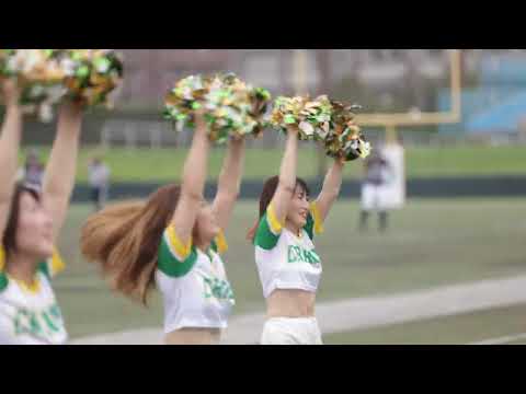 2024/06 AFC Cranes Cheerleaders