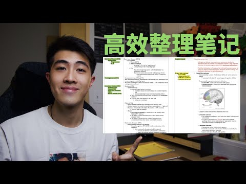 【干货】如何高效整理课堂笔记?｜How to take & organize lecture notes effectively!｜全英双字