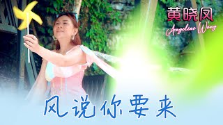 黄晓凤ANGELINE WONG I 风说你要来 I 官方MV全球大首播 (Official Video)