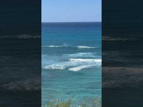 #surfing #choppy #hawaii