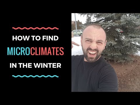 How You Can Find Incredible Microclimates + Introduction to Permaculture on March 21st