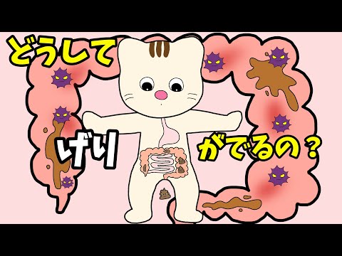 【アニメ 絵本読み聞かせ】下痢のしくみ〜どうして下痢が出るの？〜ウイルス性腸炎〜