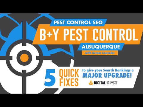 Pest Control SEO | Quick Website Fixes | Featuring B&Y Pest Control of Albuquerque NM