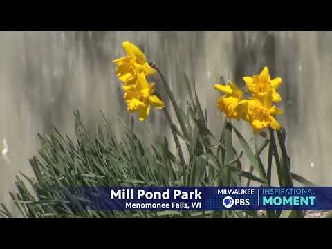 Milwaukee PBS Presents | Inspirational Moments | Mill Pond Park