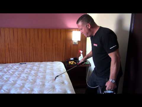 Examining and Treating Hotel Room Beds with Nature-Cide All Purpose