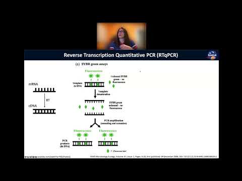 GL4U: RNAseq Edu Bootcamp 06-2022 Day3 2of4