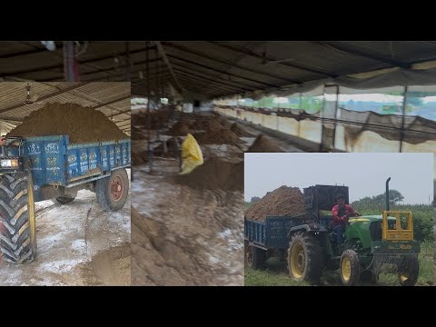 farm me new Batch ki teyari #farm#trendingvideo #poultryfood #farming #poultryfarming