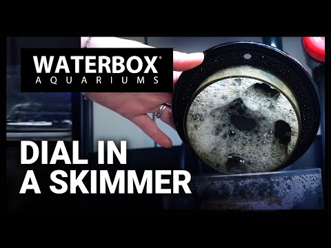 How To Dial In a Skimmer For Best Performance