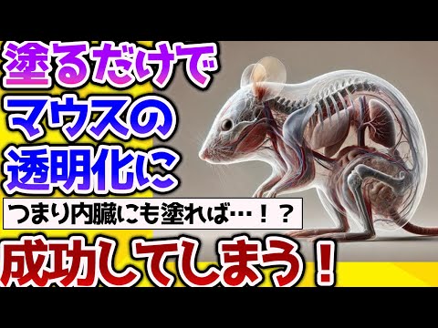 【2ch動物スレ】塗るだけでマウスの透明化に成功してしまう【なんj】 #生き物 #2ch