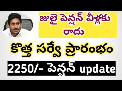 YSR పెన్షన్ కనుక 2021 || జులై పెన్షన్ 2021 || వీళ్లకు పెన్షన్ రాదు ||