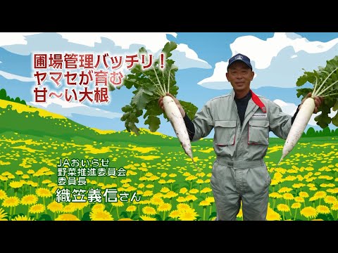 2022年6月17日放送「Fresh Vegetable」旬の青森県産だいこんを紹介～JAおいらせより～