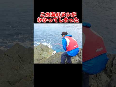 この海のヌシを釣り上げた#釣り#沖縄#慶良間#fishing