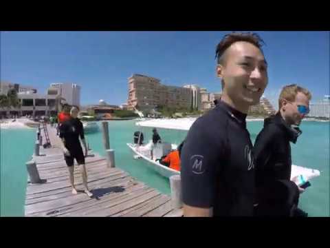 坎昆淺水看到大海龜 - 加勒比海沿岸世界著名度假勝地 Scuba Diving at Cancun