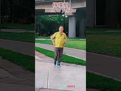 【元宏排舞教室】短片-23-4 檸檬樹 排舞 / Mellow yellow line dance