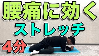 【腰痛に効く！ストレッチ】4分！股関節と背骨をほぐして腰痛改善！