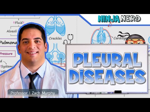 Pleural Diseases: Pleural Effusion, Pneumothorax | Clinical Medicine