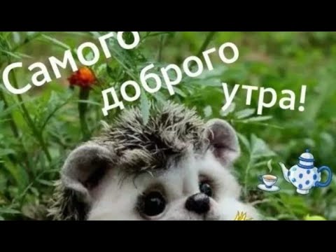 🌹С очень Добрым Утром Друзья ‼️Красивая музыкальная открытка ‼️💝