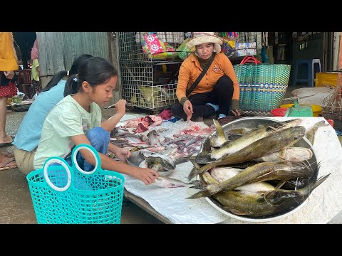 Wet market , Smart girl Pich buy catfish for cooking - Cooking with Sreypich