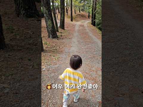 제주도같은 #진주비봉산 원본