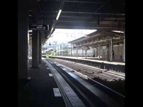 渋沢駅特急ロマンスカー通過 (撮影時間2023.08.11-16時ごろ) #shorts