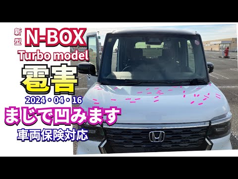 兵庫県南西部 4月16日の雹害対応  新型NBOX  #nbox  #新型nbox  #雹害