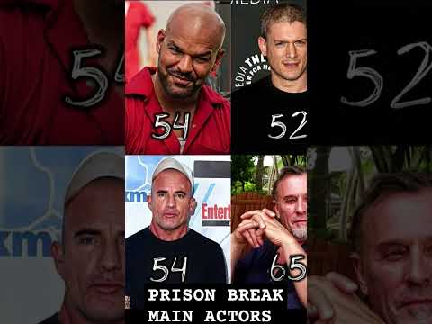 PRISON BREAK BROTHERS.. #shorts #reels #movies #prisonbreak #actors #how