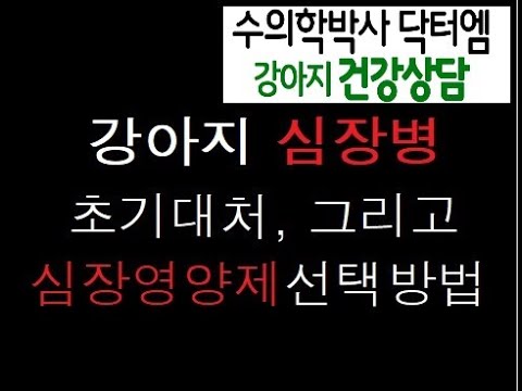 강아지 심장병 대처는 어떻게 해야 할까요?