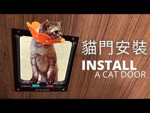 貓門安裝｜Install a Cat Door｜淘寶好物