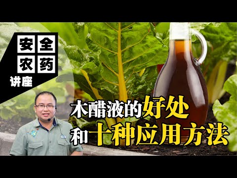 【Baba安全农药讲座】木醋液的好处和十种应用方法 | 菜园喝了木醋液后发生巨大的变化，堪比灵丹妙药 | 木醋液应用方法