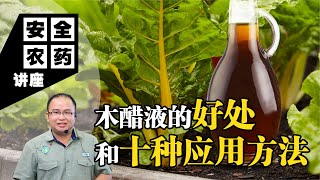 【Baba安全农药讲座】木醋液的好处和十种应用方法 | 菜园喝了木醋液后发生巨大的变化，堪比灵丹妙药 | 木醋液应用方法