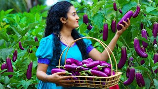 Sri Lankan Snacks with Farm Fresh Brinjals 🍆 Brinjal Curry & Fried Brinjals + Dragon Fruit Pudding