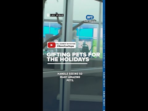 Holiday pet giving