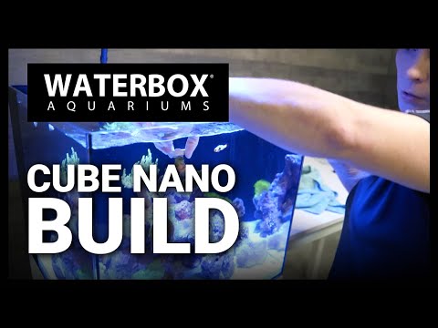 Waterbox Aquariums CUBE 20 Build - Saltwater Aquariums Made Easy