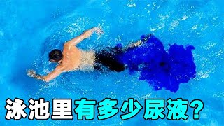 一个游泳池里，到底有多少尿液？实验结果令人作呕