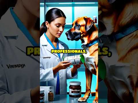 NutriPaw's Ultimate Joint Care Supplement!