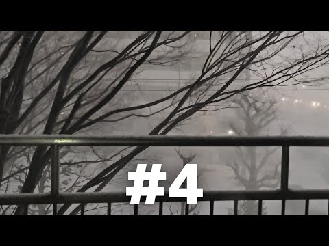 [일주일기#4] 무서웠던 교토의 폭설 🌨 / 일본일상,일본맛집,일본먹방