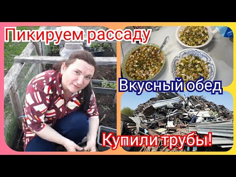 Понедельник! Сделали окрошку на обед! Распикировали рассаду! Муж сводит козлят!