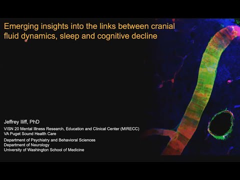 Emerging Insights Into the Links Between Cranial Fluid Dynamics, Sleep and Cognitive Decline