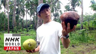 Coconut Entrepreneur Tackling Poverty: Mizui Yu - FRONTRUNNERS