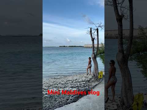 A mini beach vlog 🏖️ #ytshorts #shorts #beach #beachvibes #beachvlog #beautifulnature #maldives