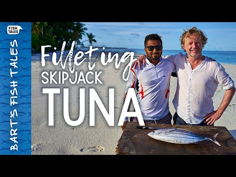 How to fillet a skipjack TUNA | Bart van Olphen