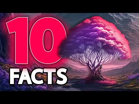 Facts You Didn't Know About Krita